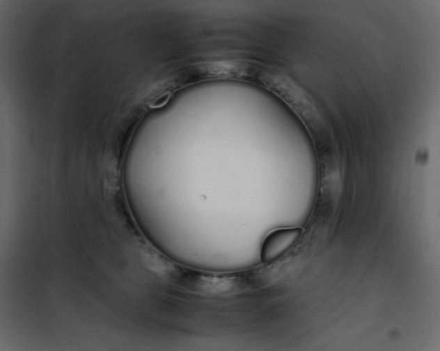 X0000102260469200808081405