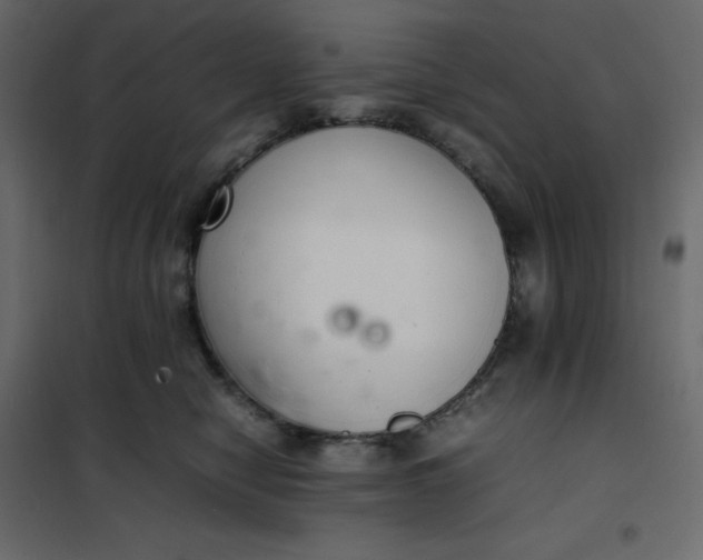 X0000102260470200808081405