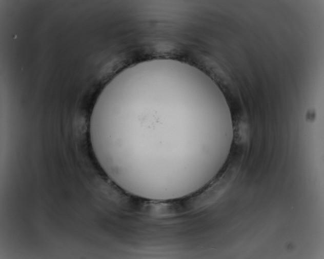 X0000102260472200808081405