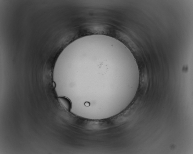 X0000102260473200808081405