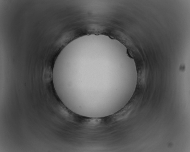 X0000102260474200808081405