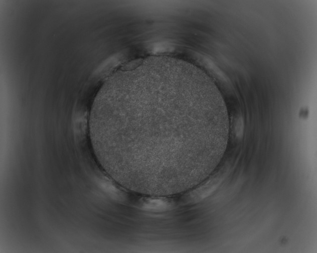 X0000102260475200808081405