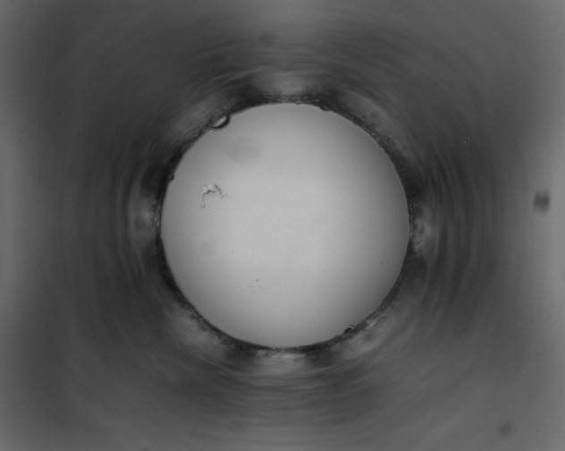 X0000102260476200808081405