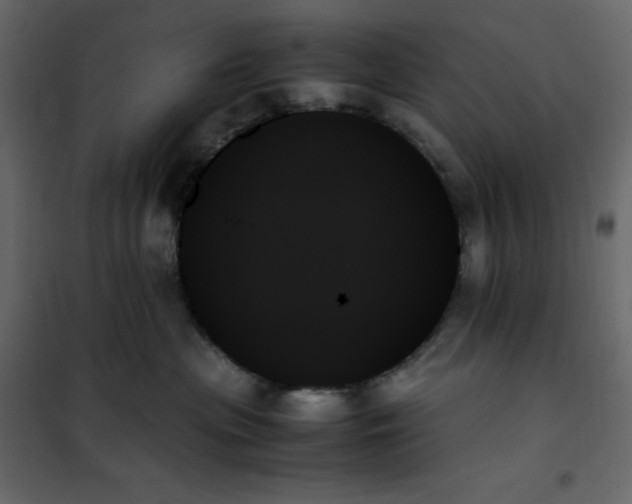 X0000102260477200808081405