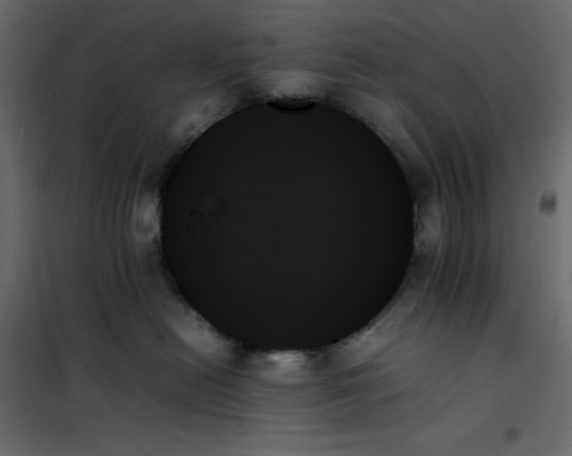 X0000102260478200808081405