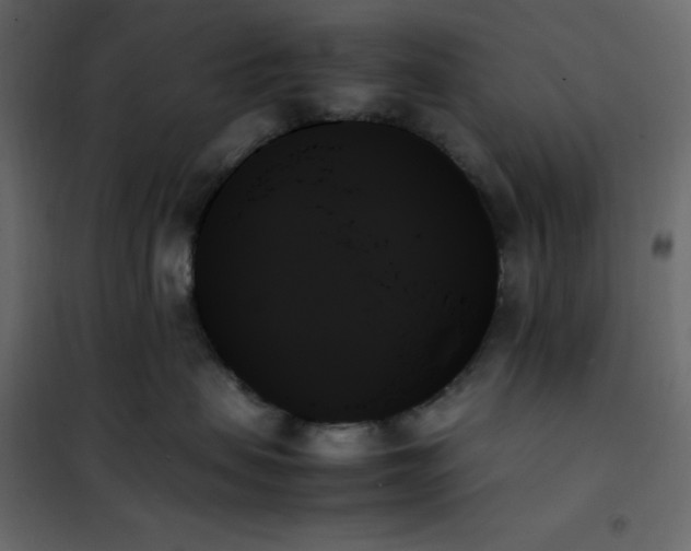 X0000102260479200808081405