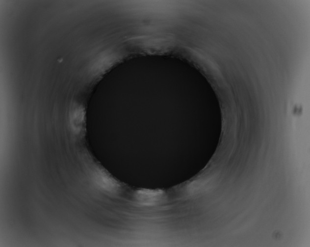 X0000102260480200808081405