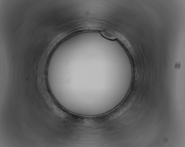 X0000102260481200808081404