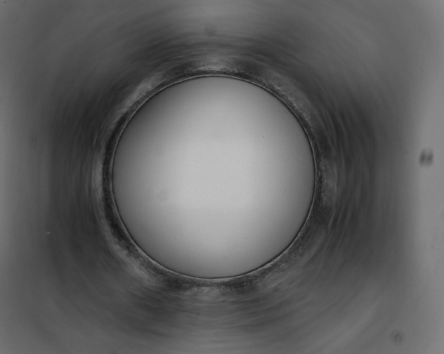 X0000102260482200808081404