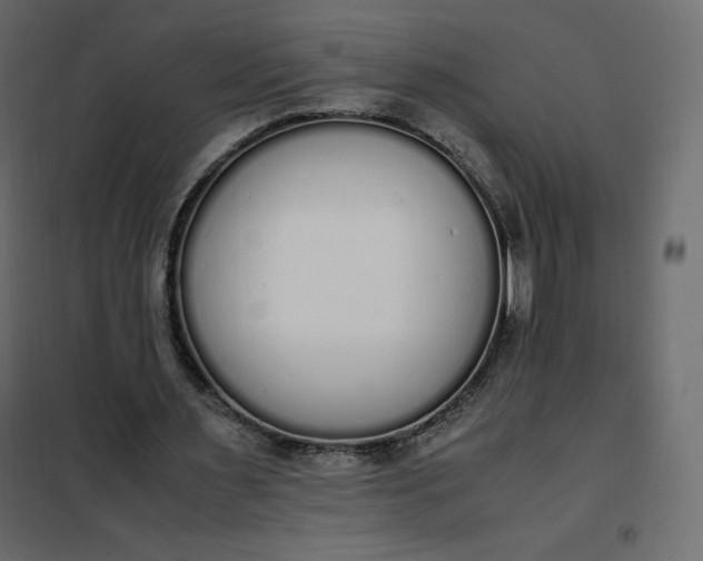 X0000102260483200808081404