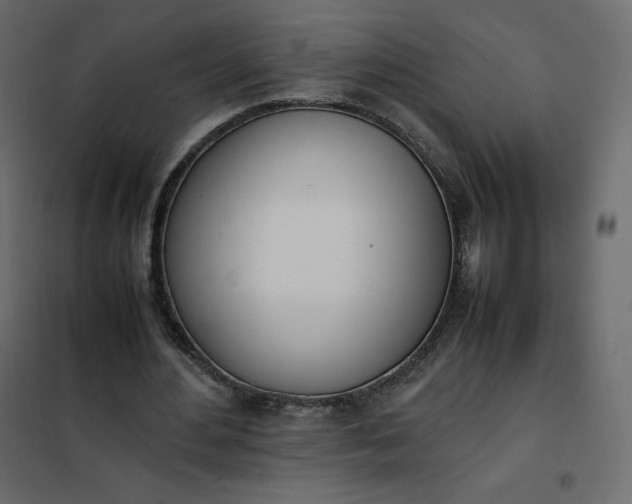 X0000102260484200808081404