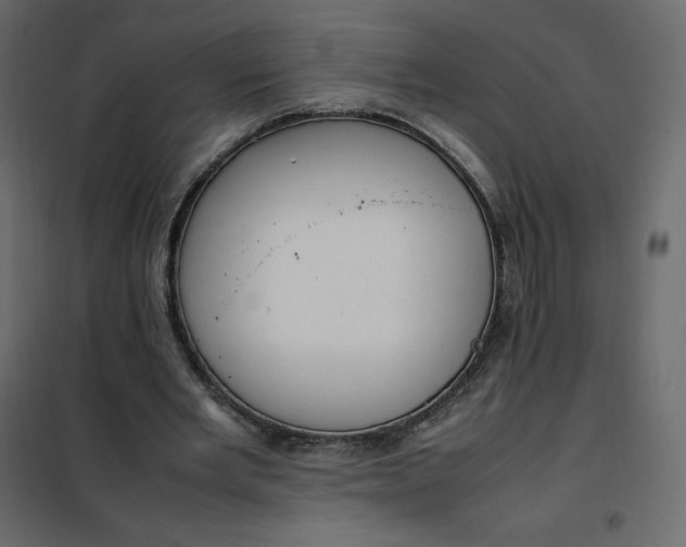 X0000102260485200808081404