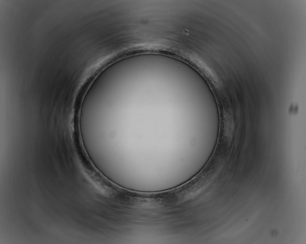 X0000102260486200808081404