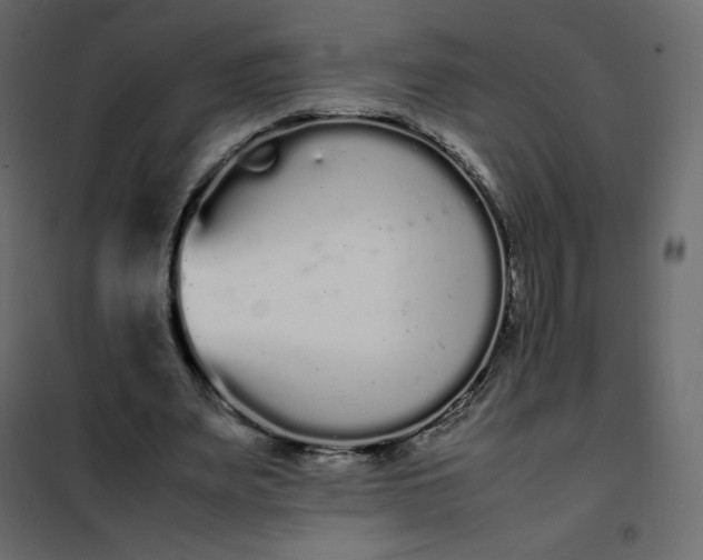 X0000102260487200808081404