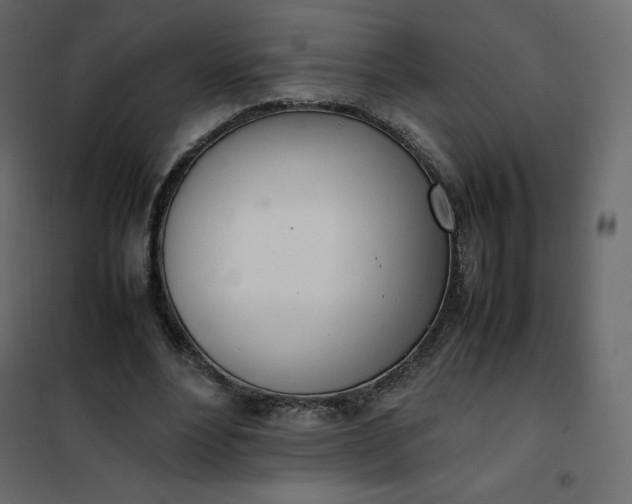 X0000102260488200808081404