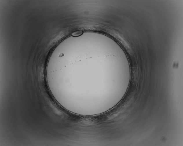 X0000102260489200808081404