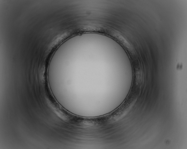 X0000102260490200808081404