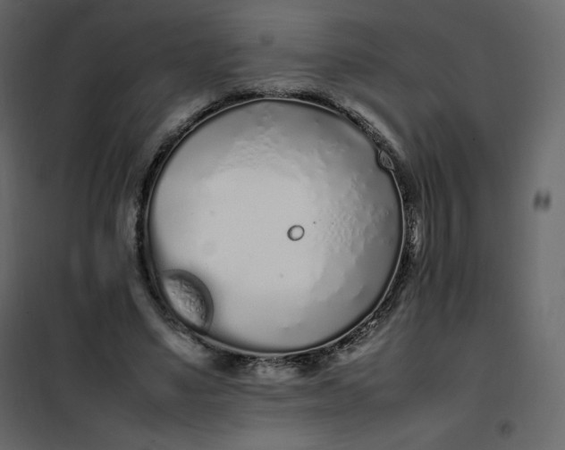 X0000102260491200808081404