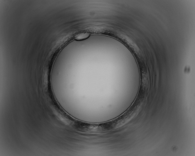 X0000102260493200808081404