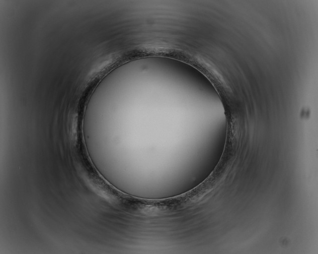 X0000102260494200808081404