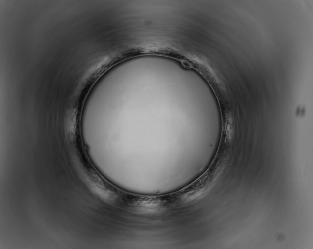 X0000102260495200808081404