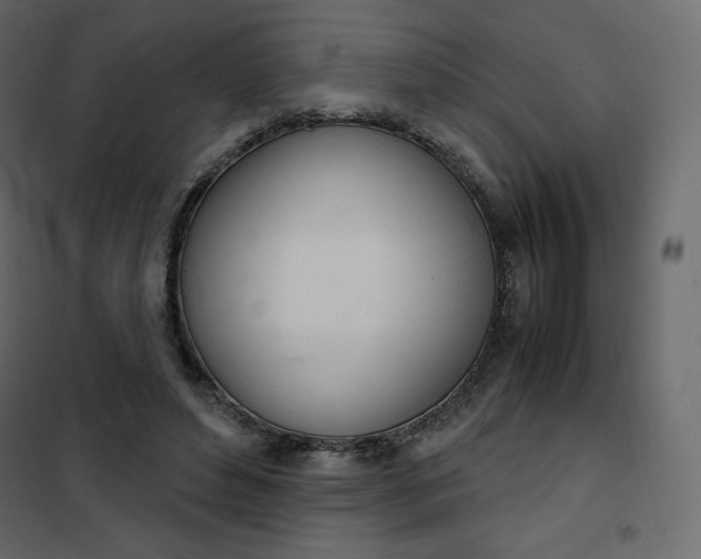 X0000102260496200808081404