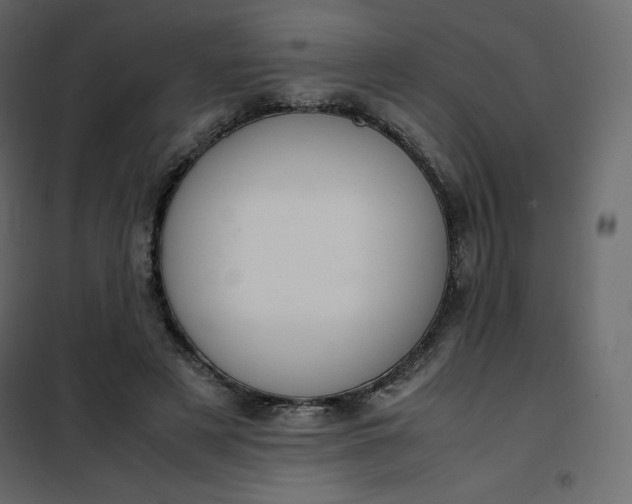 X0000102260497200808081404