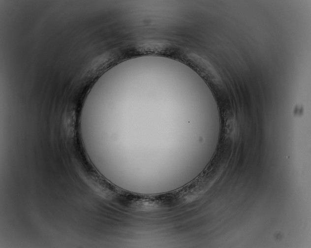 X0000102260498200808081404