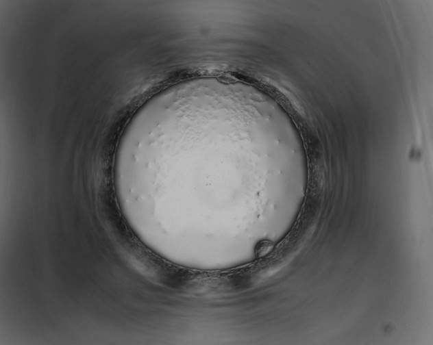 X0000102260499200808081404