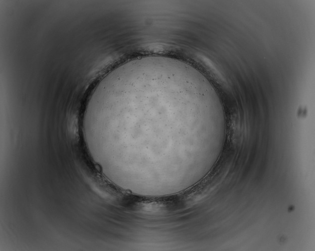 X0000102260500200808081404