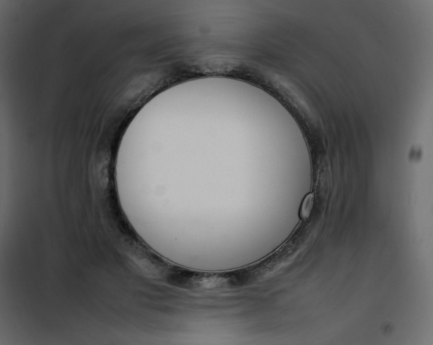 X0000102260501200808081404