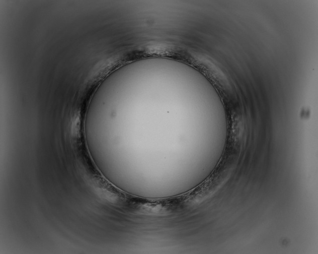 X0000102260502200808081404