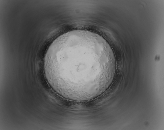 X0000102260503200808081404