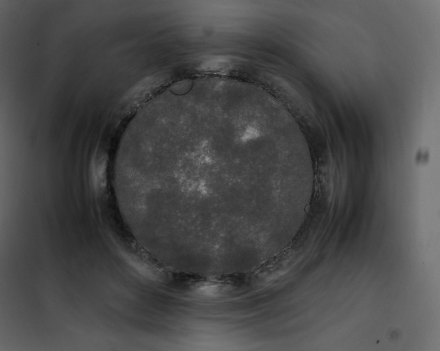 X0000102260504200808081404