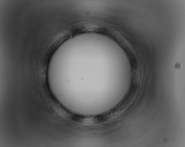 X0000102260505200808081404