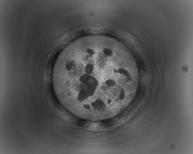 X0000102260507200808081404