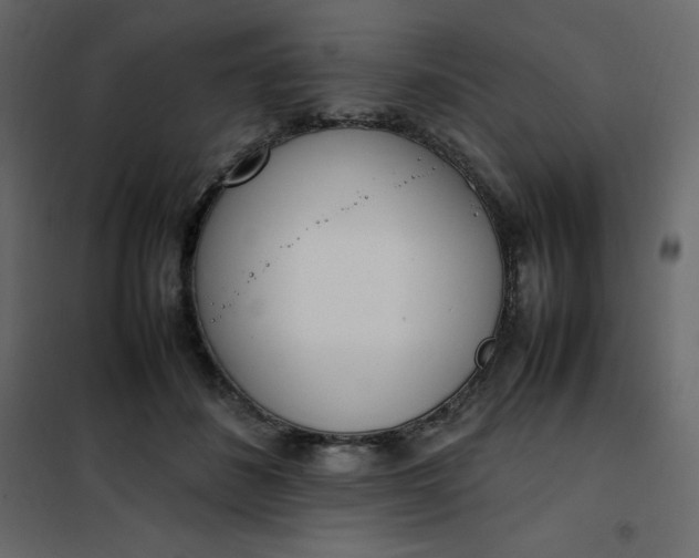 X0000102260508200808081404