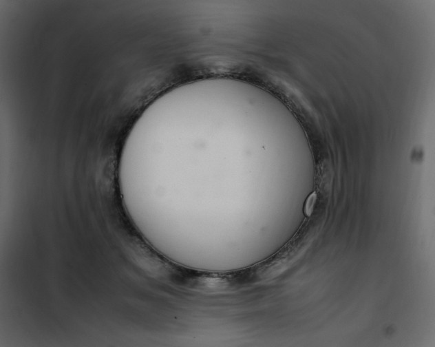 X0000102260509200808081404