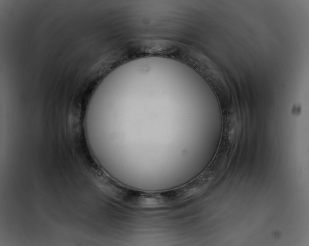 X0000102260510200808081404