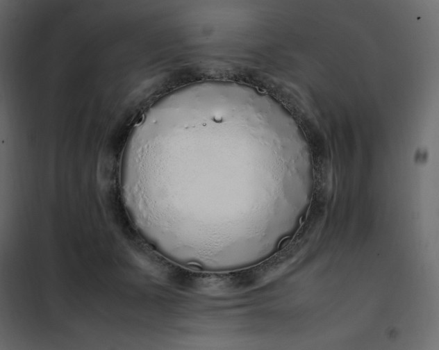 X0000102260511200808081404