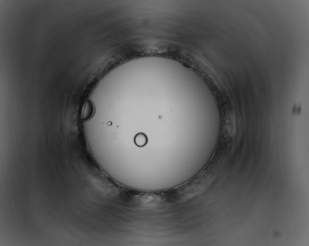 X0000102260512200808081404