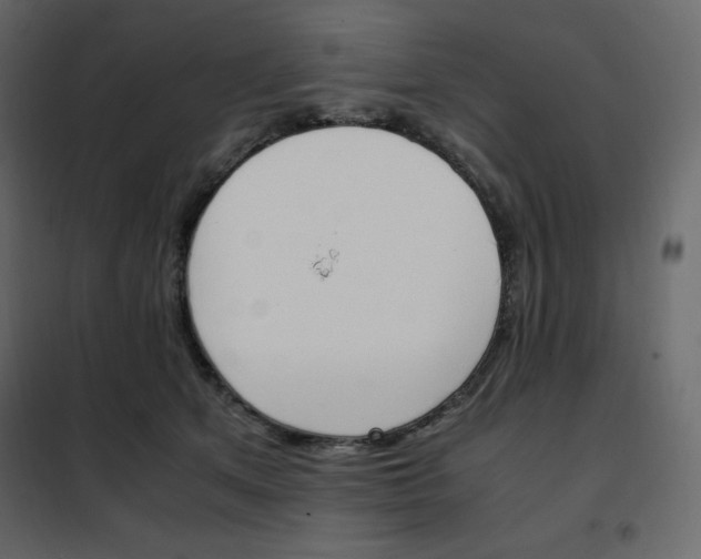 X0000102260513200808081404