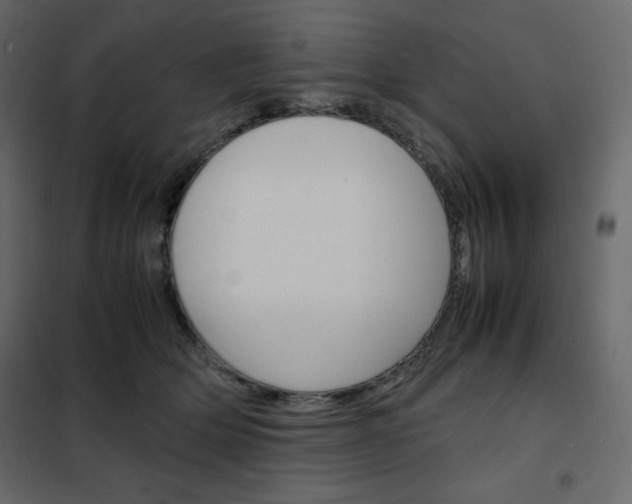 X0000102260514200808081404