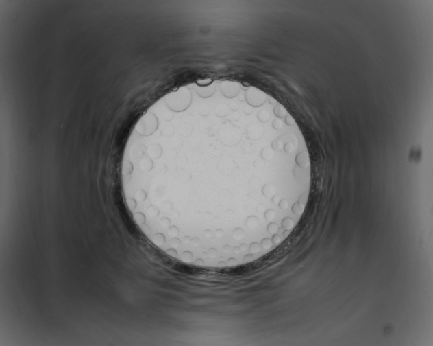 X0000102260515200808081404