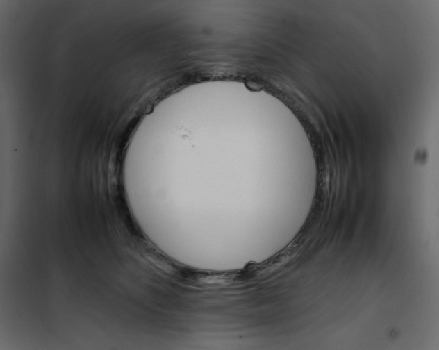 X0000102260516200808081404