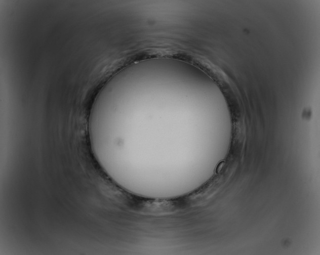 X0000102260517200808081404