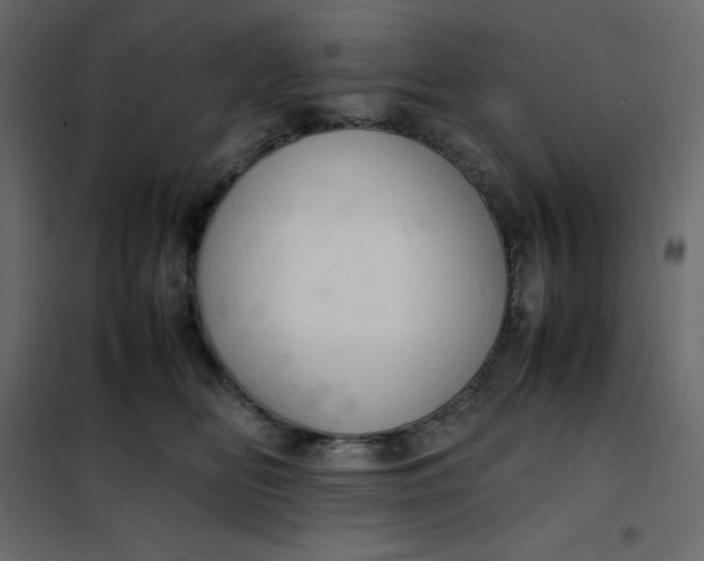 X0000102260518200808081404