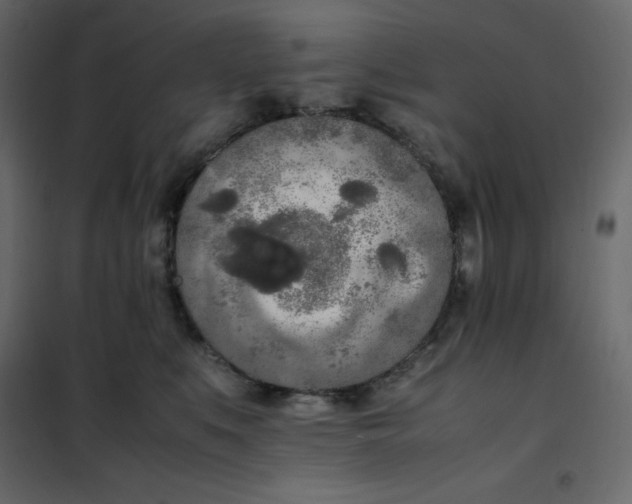 X0000102260519200808081404