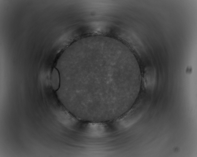 X0000102260520200808081404