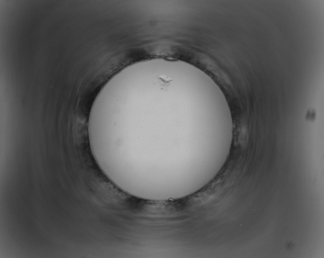 X0000102260521200808081404